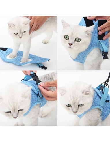 Chouchou - Imbracatura e guinzaglio per gatti