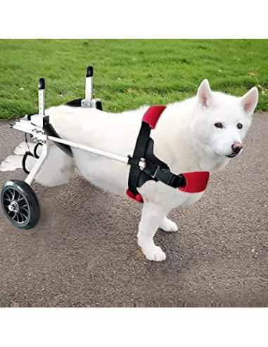 Kelby - Fauteuil pour chien handicapé(Plage de poids : 8-15 kg)