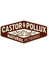 Castor & Pollux